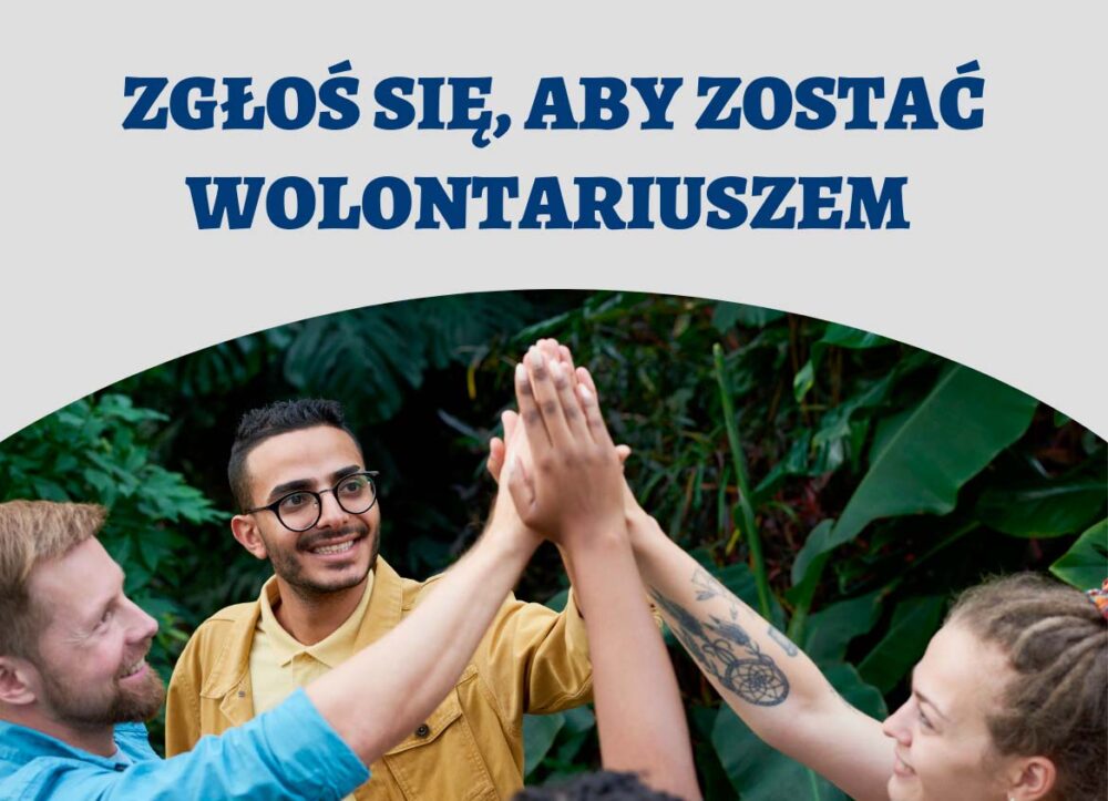 wolontariat