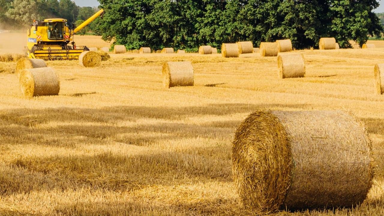 Bezpieczne żniwa
